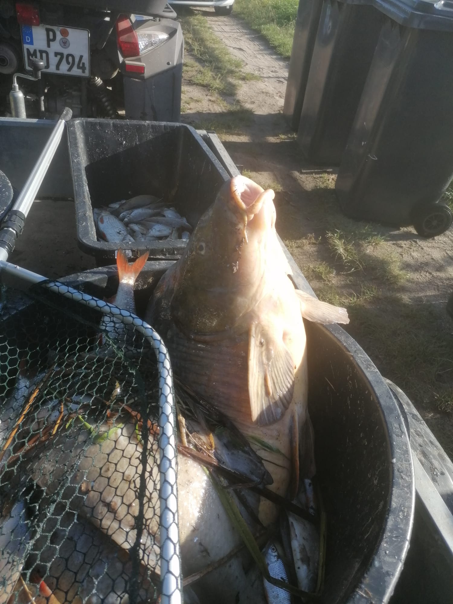 Sauerstoffmangel 2023